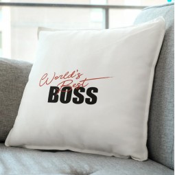 World's Best Boss pillow